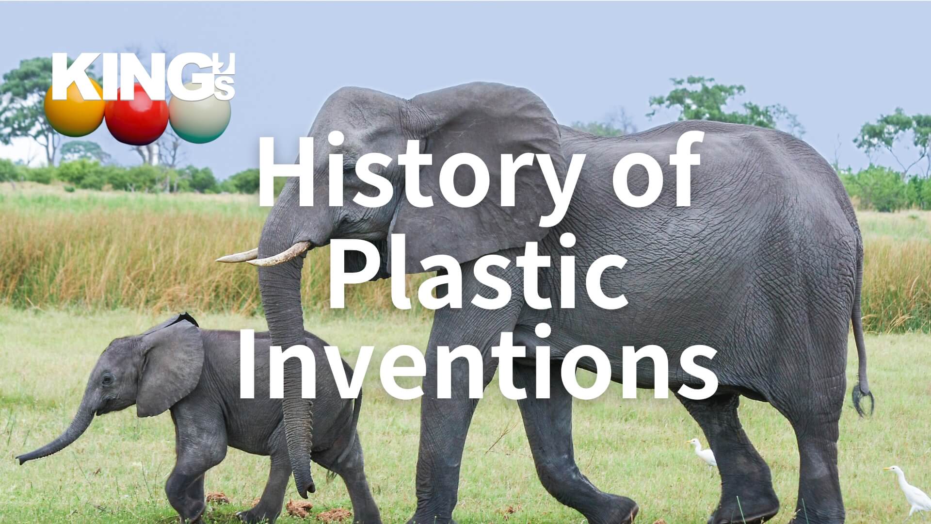 Plastic Saved Elephants: From Celluloid to Injection Molding